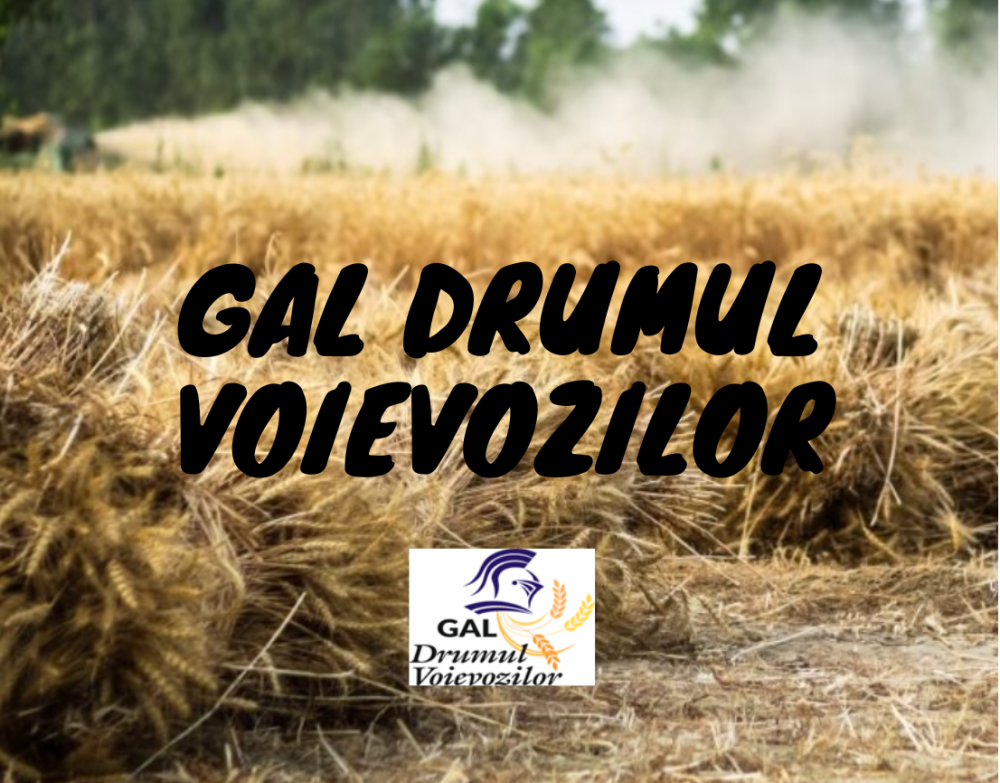 Grup de Actiune Locala Drumul Voievozilor