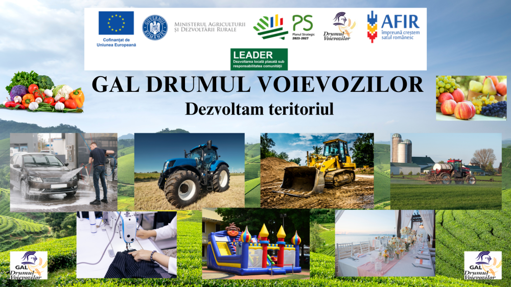 Grup de Actiune Locala Drumul Voievozilor